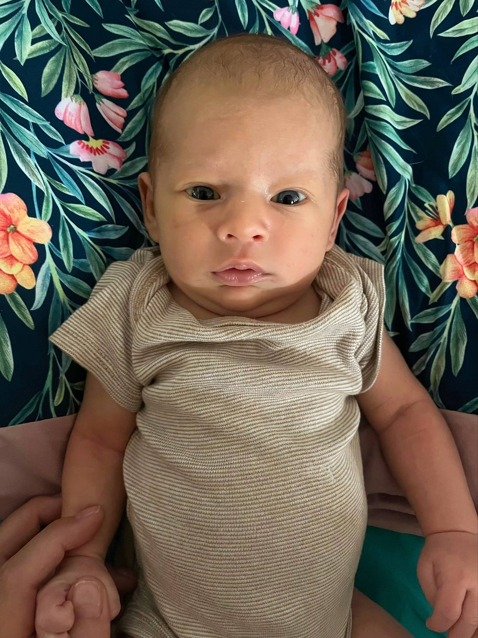 Kayne is registered to the contest to win money with this photo: arm, baby, baby_toddler_clothing, cheek, dress, facial_expression, finger, flash_photography, gesture, green, hand, happy, head, iris, lip, person, pink, plant, product, skin