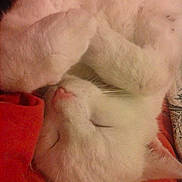 Squat a rejoint le concours — aidez-le/la à gagner de superbes lots !