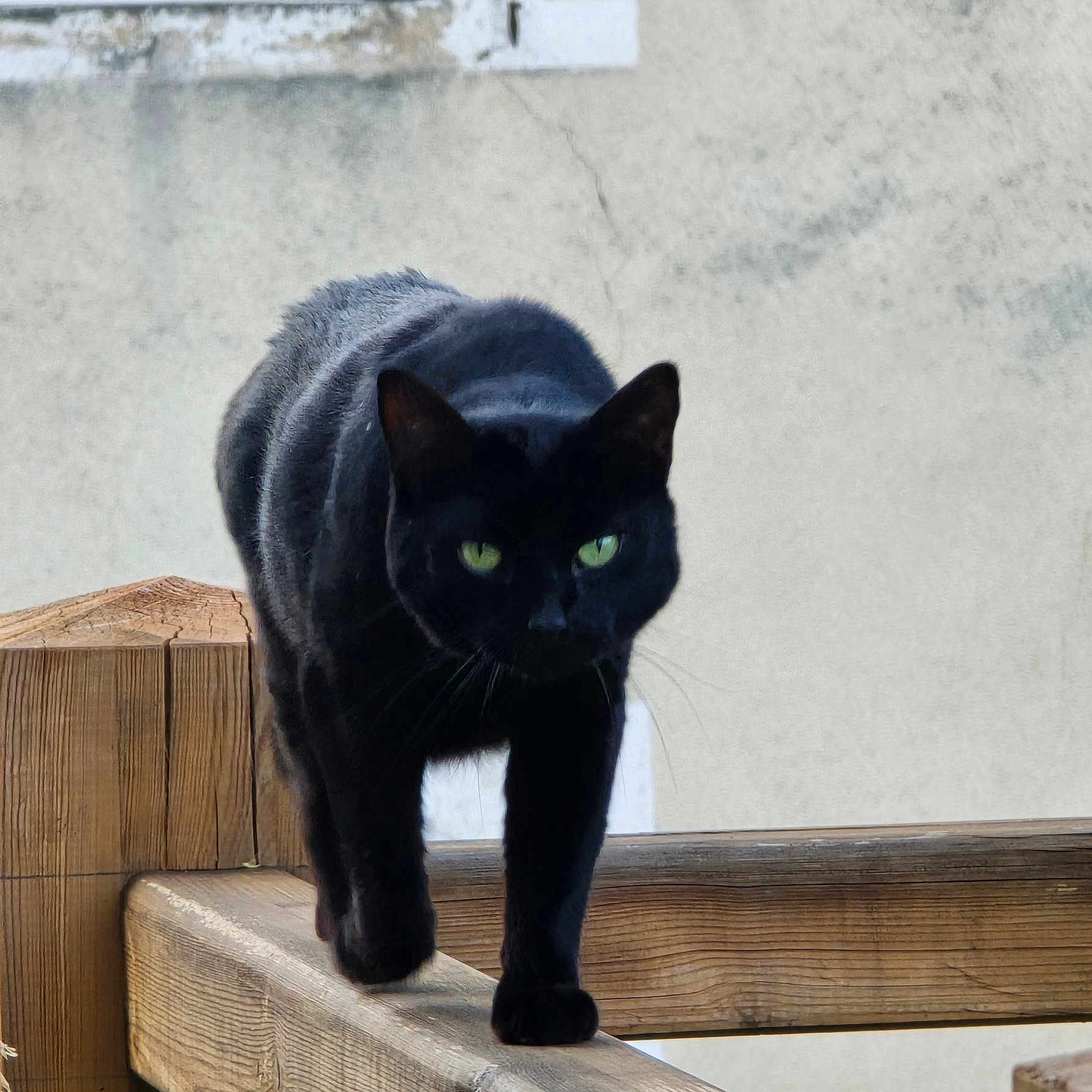 José