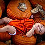 baby, infant, pumpkin, orange, fall, autumn, cute, child, romper, knitwear, outdoor, seasonal, harvest, nature, skin, foot, hand, face, lying, curious