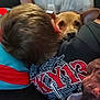 Popeye joined the competition — help win amazing prizes! child, dog, couch, blanket, pillow, snuggling, indoors, resting, cozy, casual_clothing, human_hand, brown_hair, pet, animal, face, ear, relaxation, comfort, home, friendship
