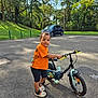 toddler, child, bicycle, orange_shirt, shorts, outdoor, park, sunny_day, asphalt, car, trees, greenery, footwear, sidewalk, person, play, summer, happy, young, vehicle