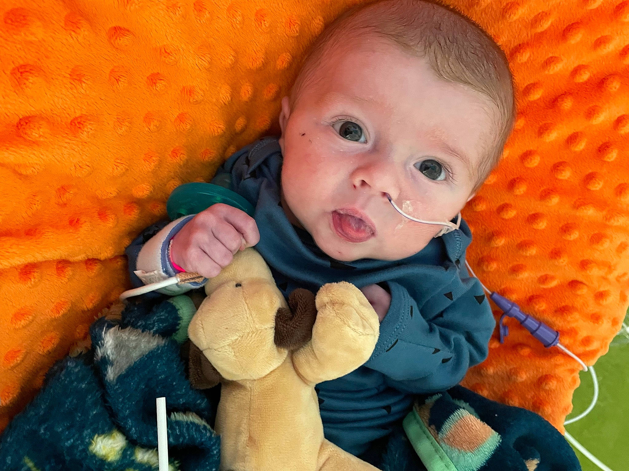 Clyde is registered to the contest to win money with this photo: baby, baby_toddler_clothing, cheek, chin, comfort, eye, hand, happy, head, human, human_body, iris, lip, mammal, mouth, nose, orange, outerwear, person, skin