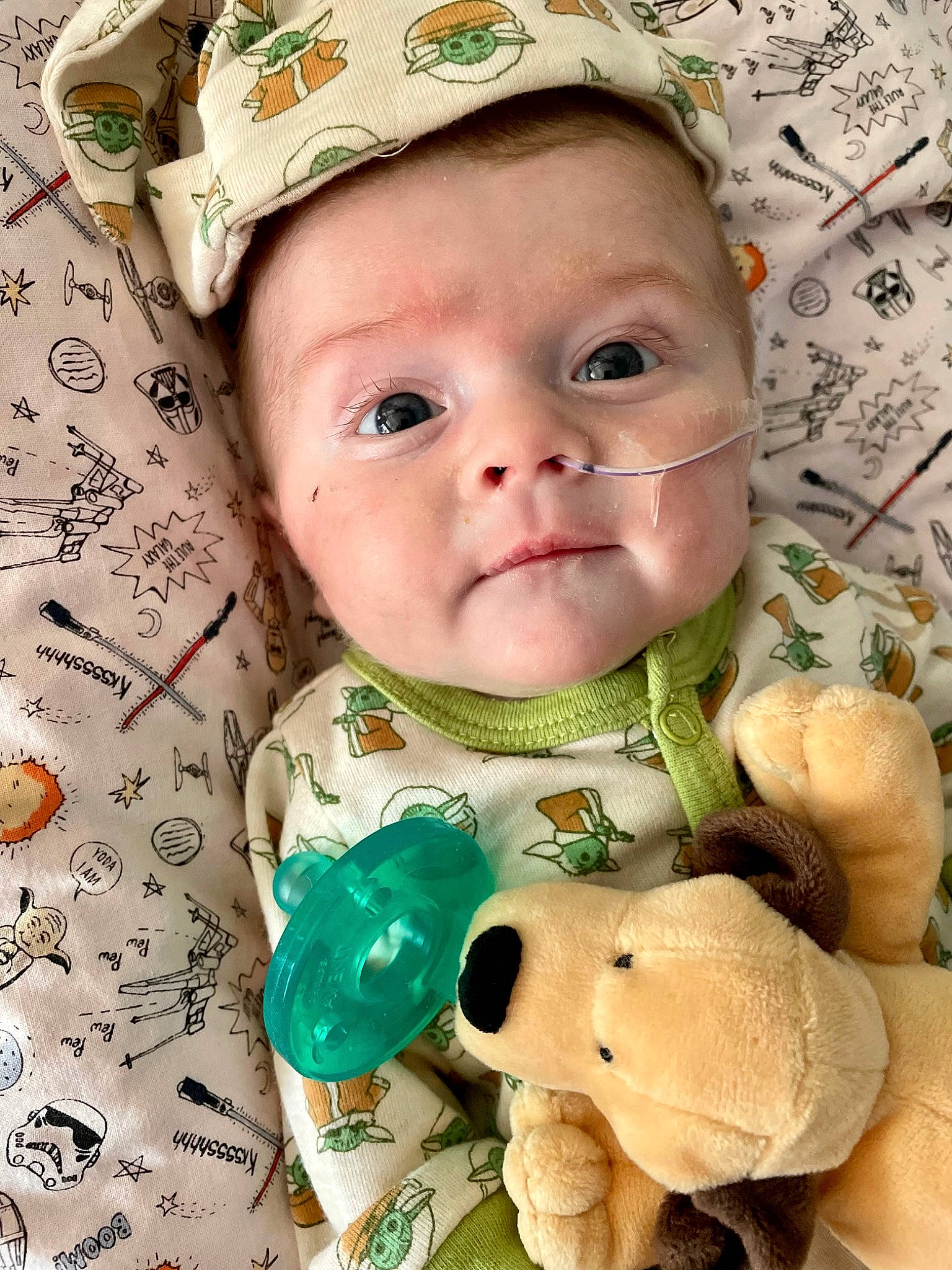 Clyde is registered to the contest to win money with this photo: baby, baby_products, baby_toddler_clothing, cheek, child, face, facial_expression, fashion_accessory, grass, green, happy, linens, pattern, person, skin, smile, stuffed_toy, textile, toddler, toy