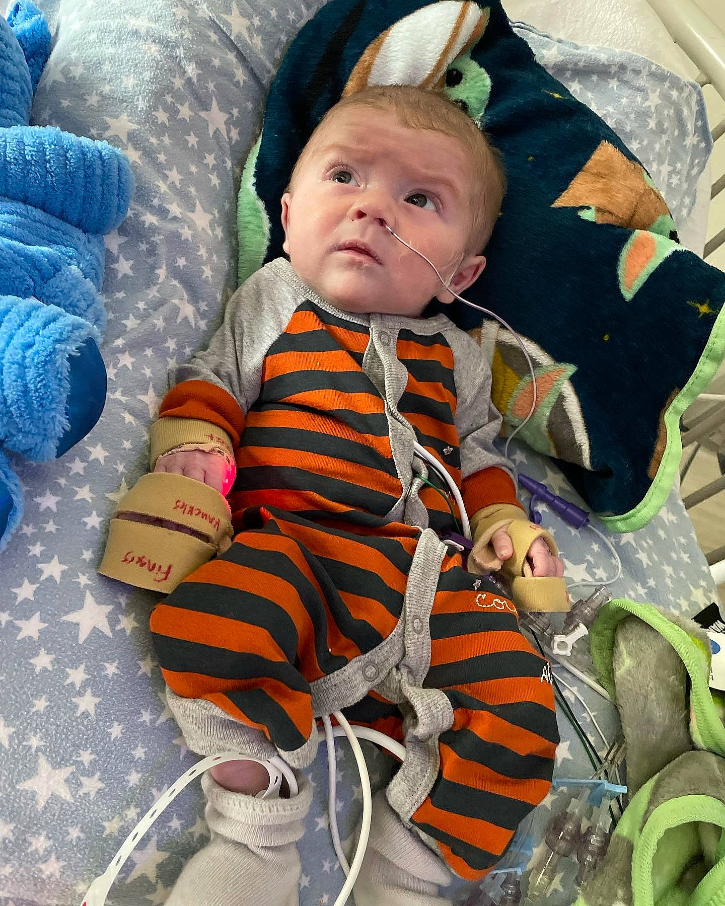 Clyde joined the competition — help win amazing prizes! baby, baby_products, baby_toddler_clothing, beanie, cheek, child, comfort, fun, hoodie, jacket, linens, orange, pattern, person, personal_protective_equipment, photograph, room, sitting, sleeve, textile