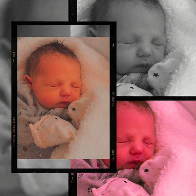 Scarlett joined the competition — help win amazing prizes! art, baby, bed, bedroom, blanket, clothing, collage, face, furniture, glove, head, indoors, kissing, newborn, person, photography, portrait, quilt, room, sleeping