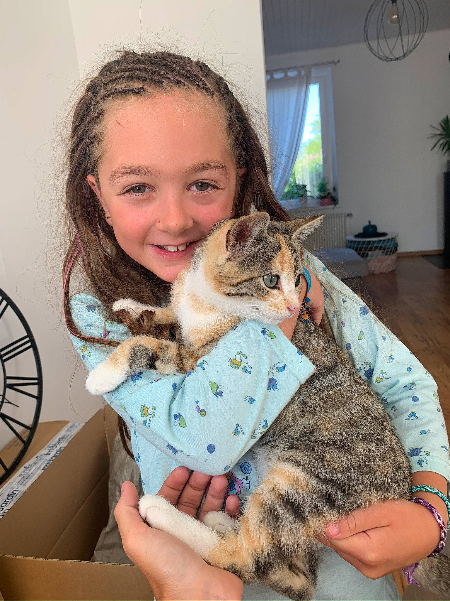 Ambre a rejoint le concours — aidez-le/la à gagner de superbes lots ! carnivore, cat, domestic_short_haired_cat, felidae, fur, happy, houseplant, hug, iris, joy, lap, nail, person, plant, recreation, small_to_medium_sized_cats, smile, toy, whiskers, wildlife_biologist