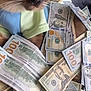 cat, siamese_cat, money, hundred_dollar_bills, currency, cash, blue_eyes, whiskers, clothing, shirt, feline, pet, domestic_animal, lying_down, close_up, indoor, luxury, rich, wealth, cute