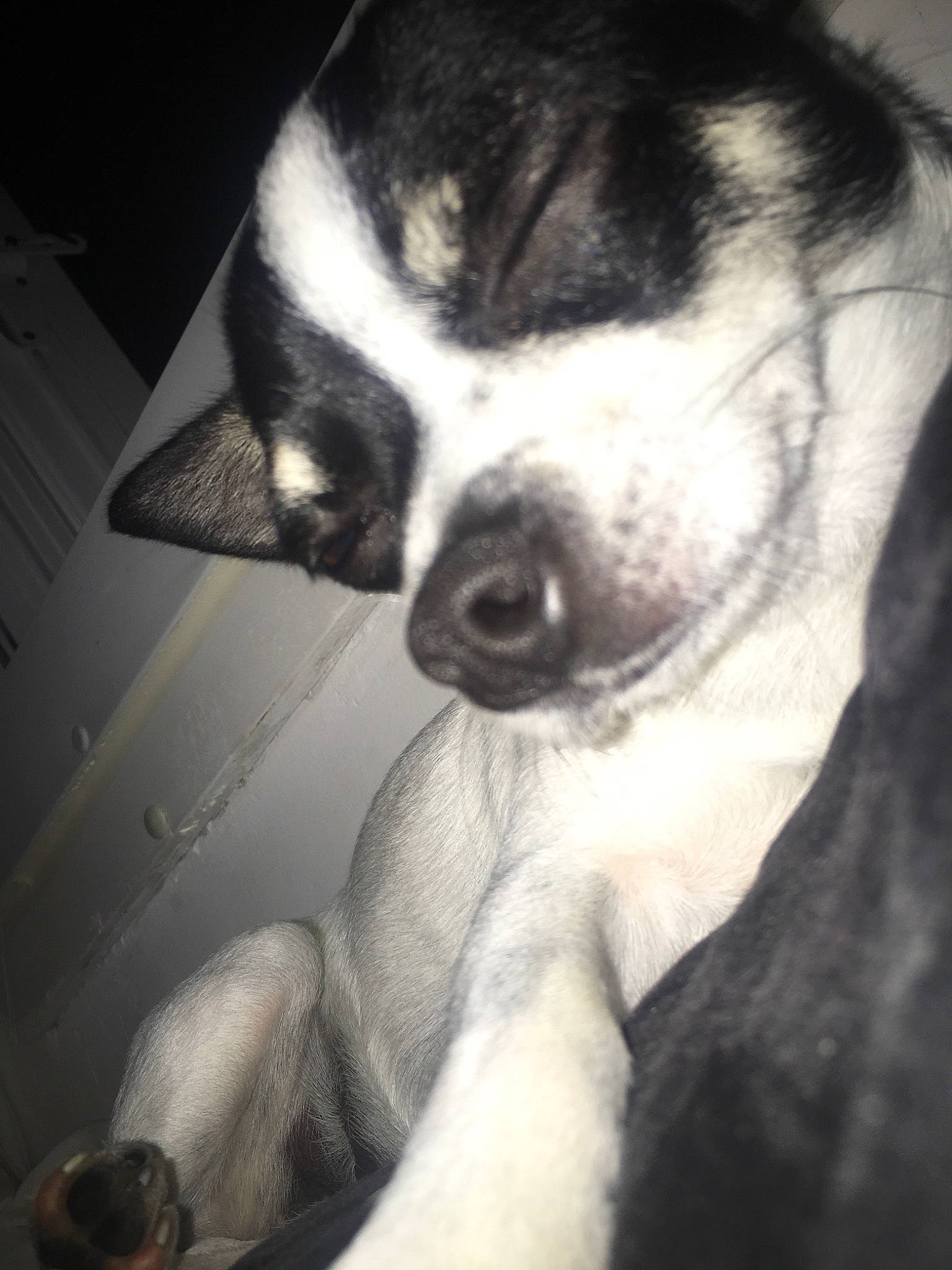 Meringue  participe au concours pour gagner de l'argent avec cette photo :