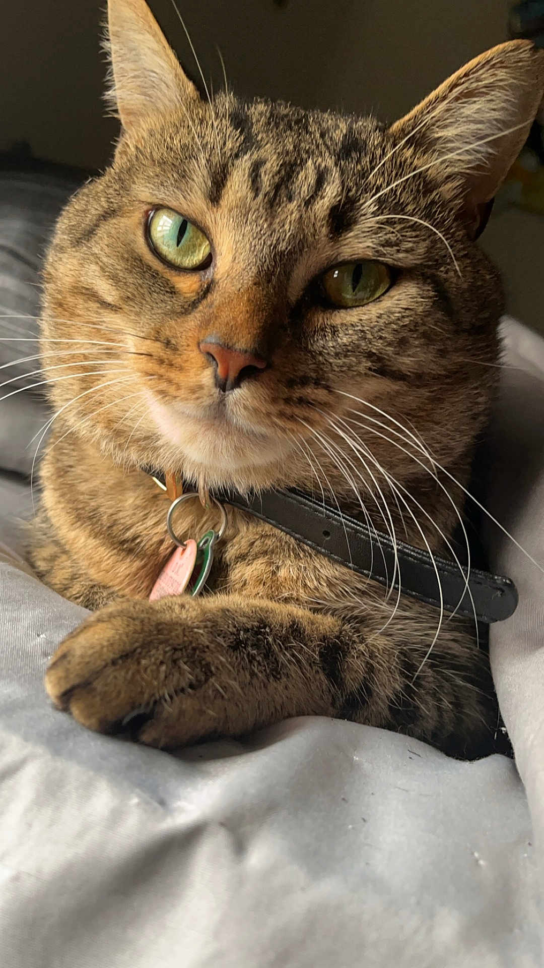 Charlee