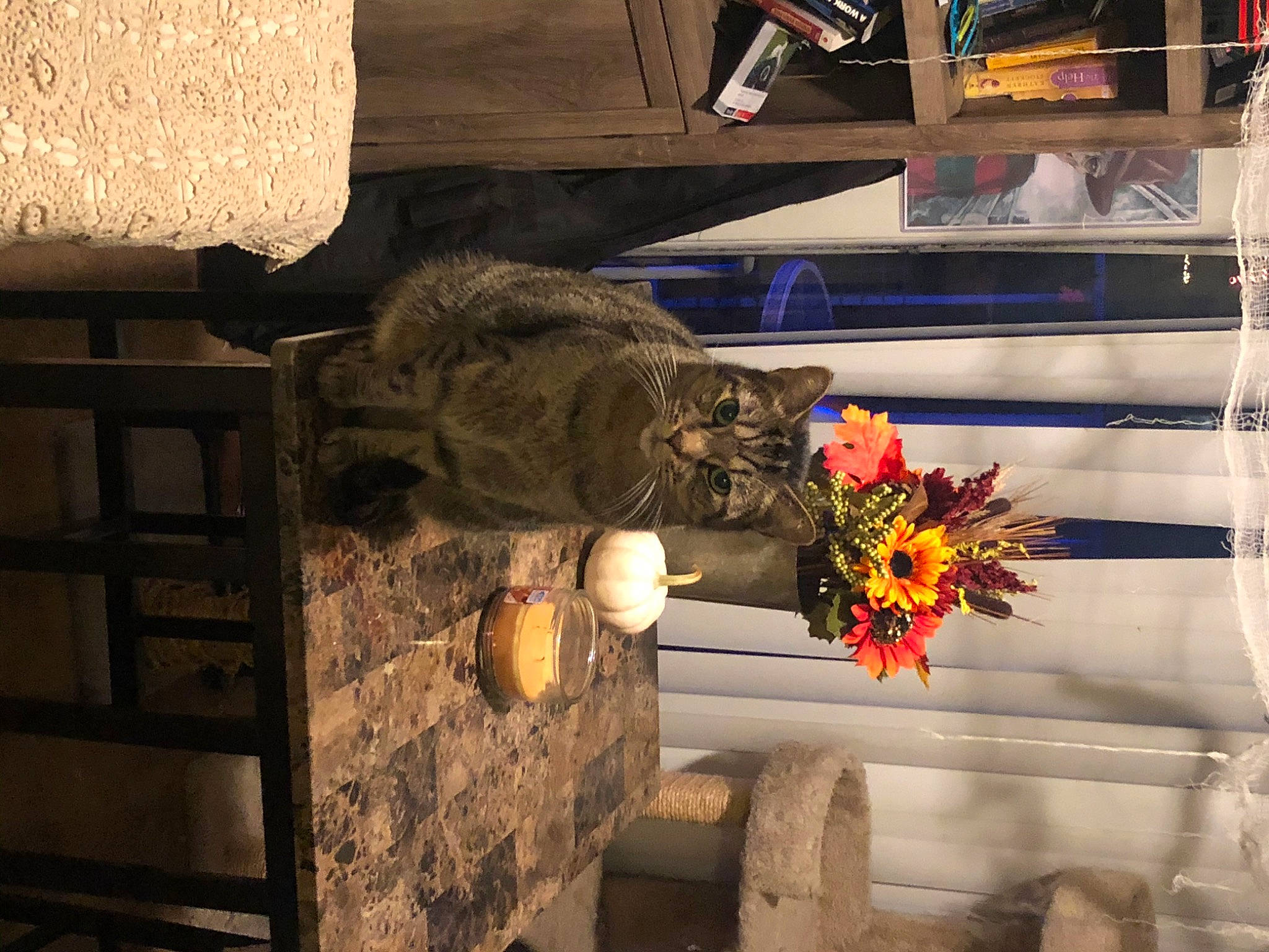 Wesley joined the competition — help win amazing prizes! art, building, cut_flowers, door, floral_design, floristry, flower, flower_arranging, heat, houseplant, petal, plant, room, sculpture, shadow, still_life_photography, tints_and_shades, visual_arts, window, wood