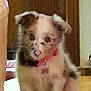 Jessy participe au concours pour gagner de l'argent avec cette photo :