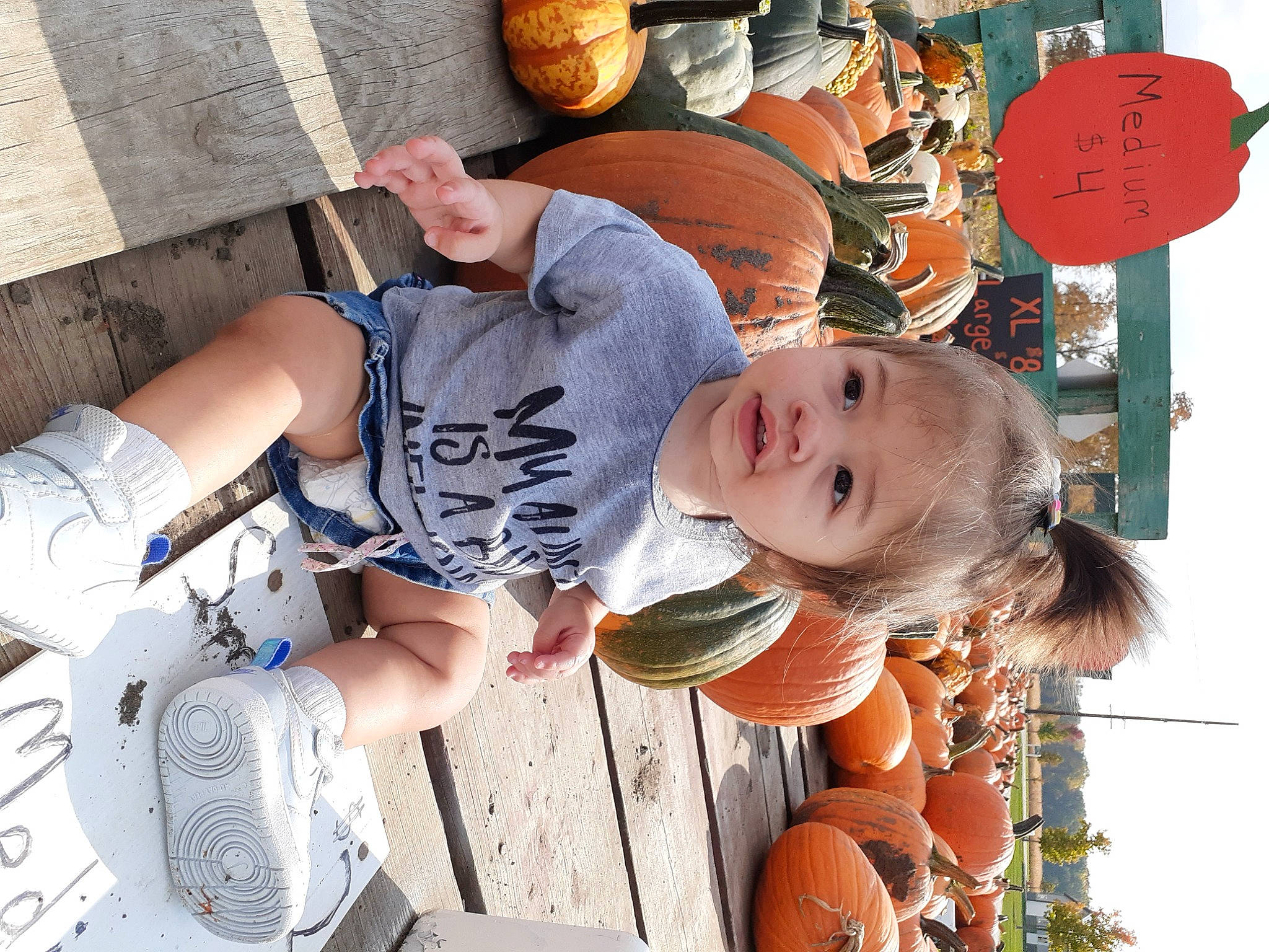 Harmony joined the competition — help win amazing prizes! _and_melon_family, _gourd, baby_toddler_clothing, calabaza, cucumber, cucurbita, gourd, holiday, lantern, orange, person, porcelain, produce, pumpkin, squash, toddler, vegetable, walking_shoe, winter_squash