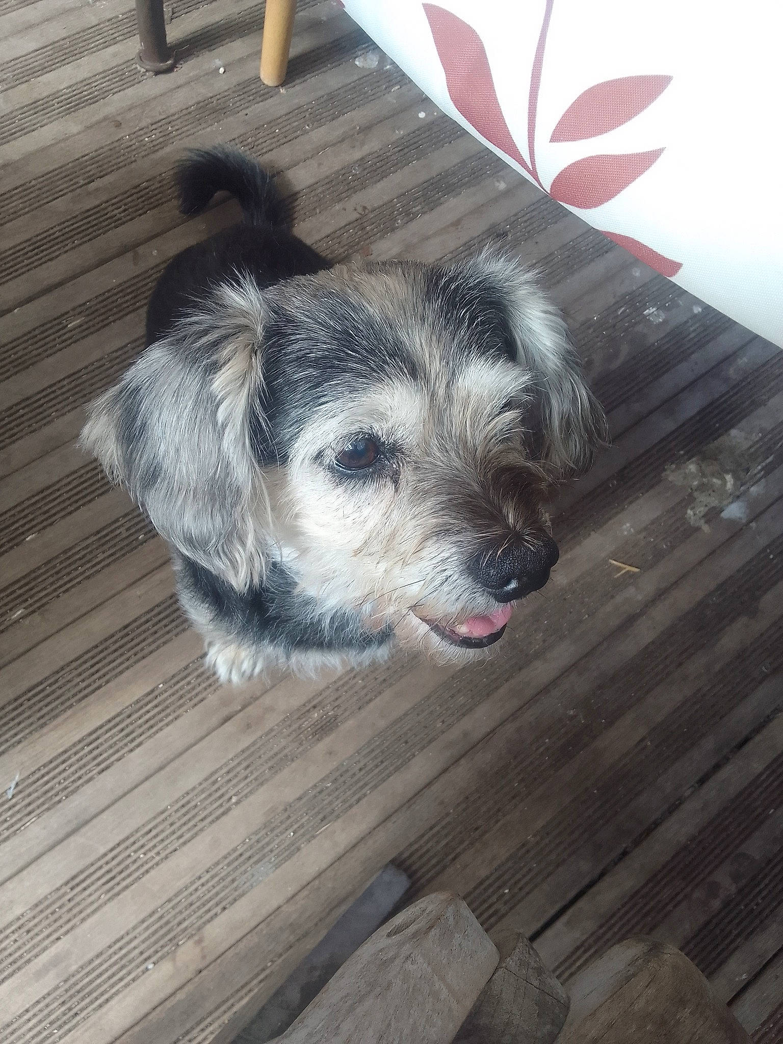 Max