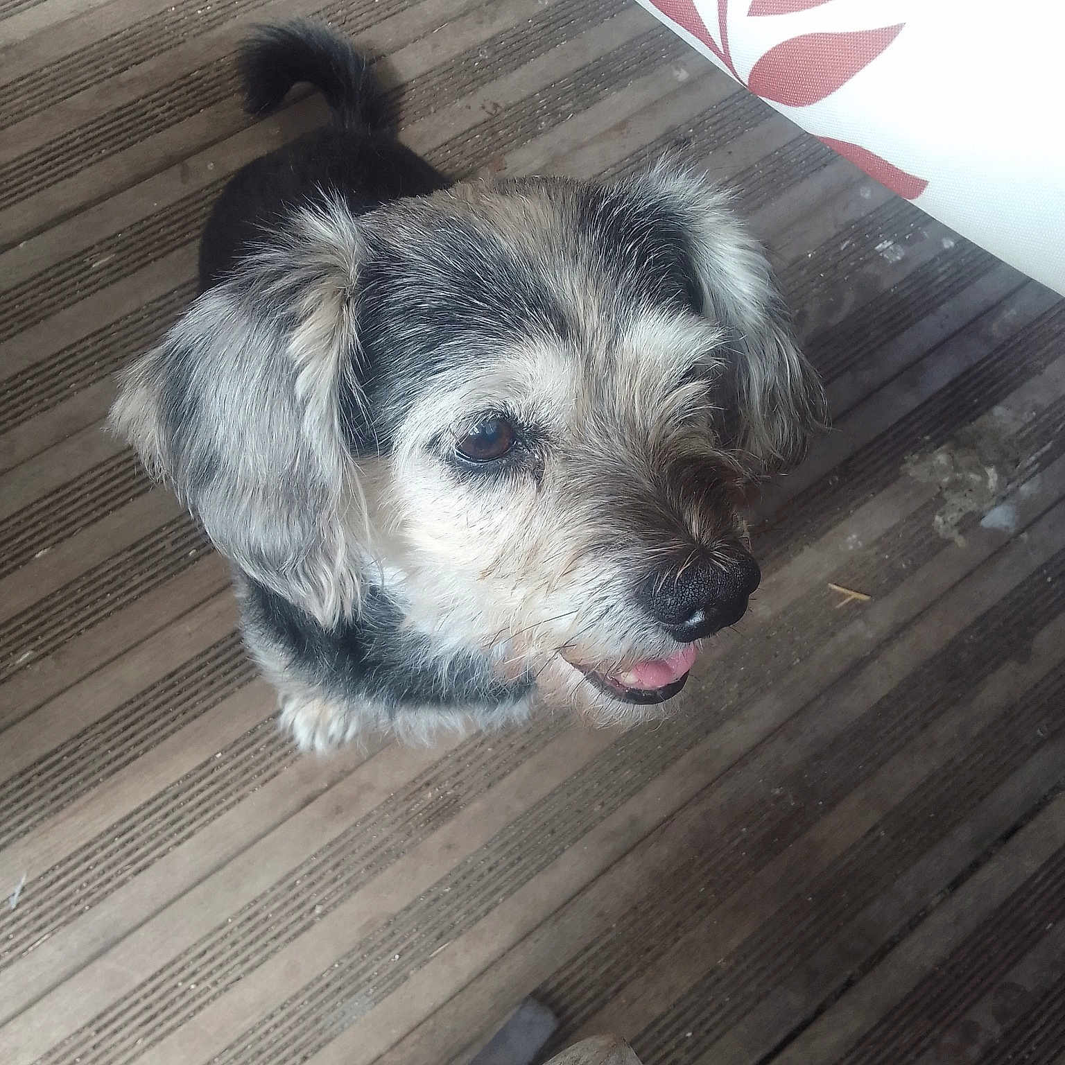Max