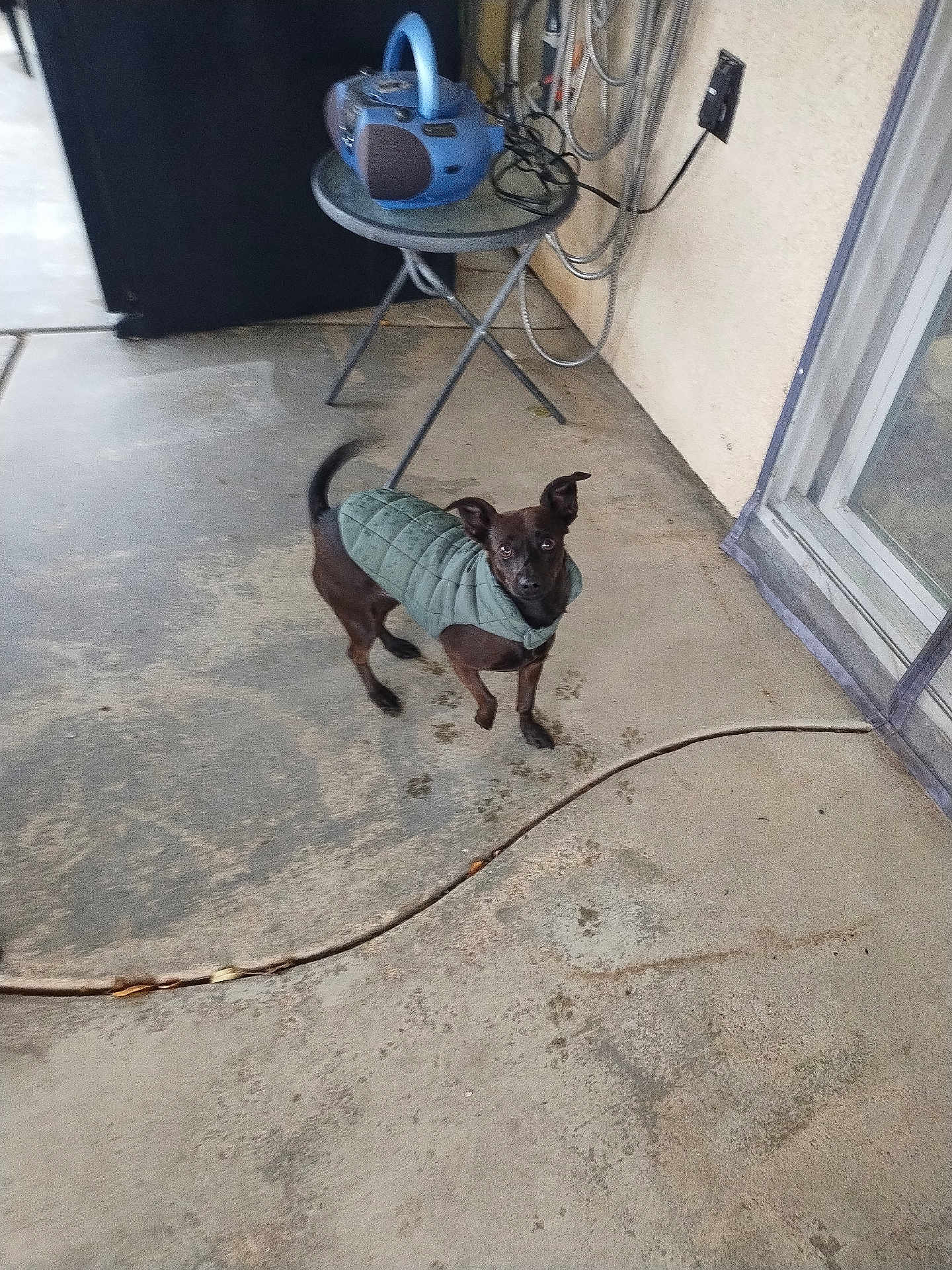 Coco