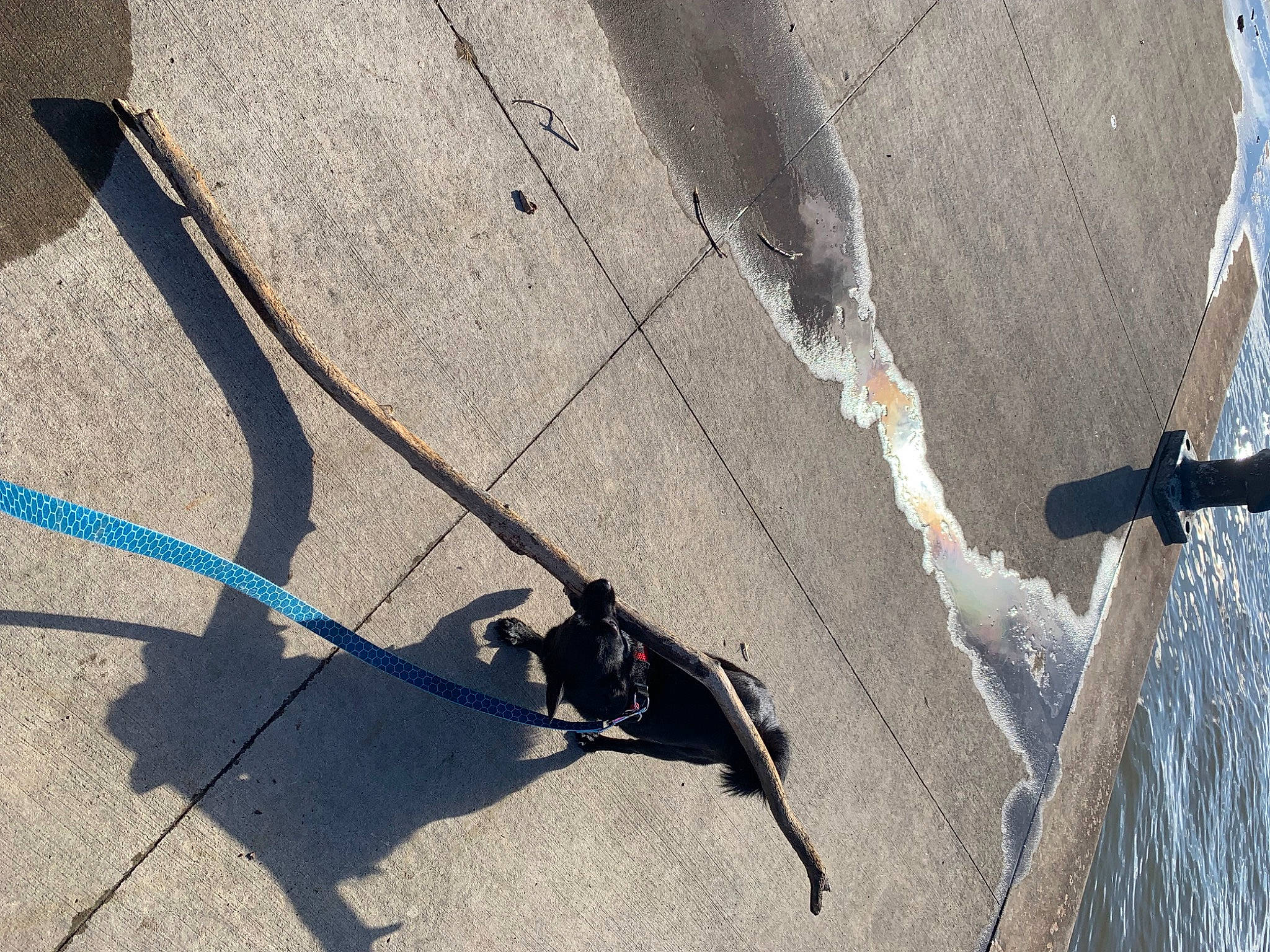 Teddy is registered to the contest to win money with this photo: adventure, asphalt, automotive_tire, city, composite_material, concrete, electric_blue, line, public_utility, recreation, road_surface, rock_climbing_equipment, rope, shadow, sidewalk, slope, soil, tar, wire, wood