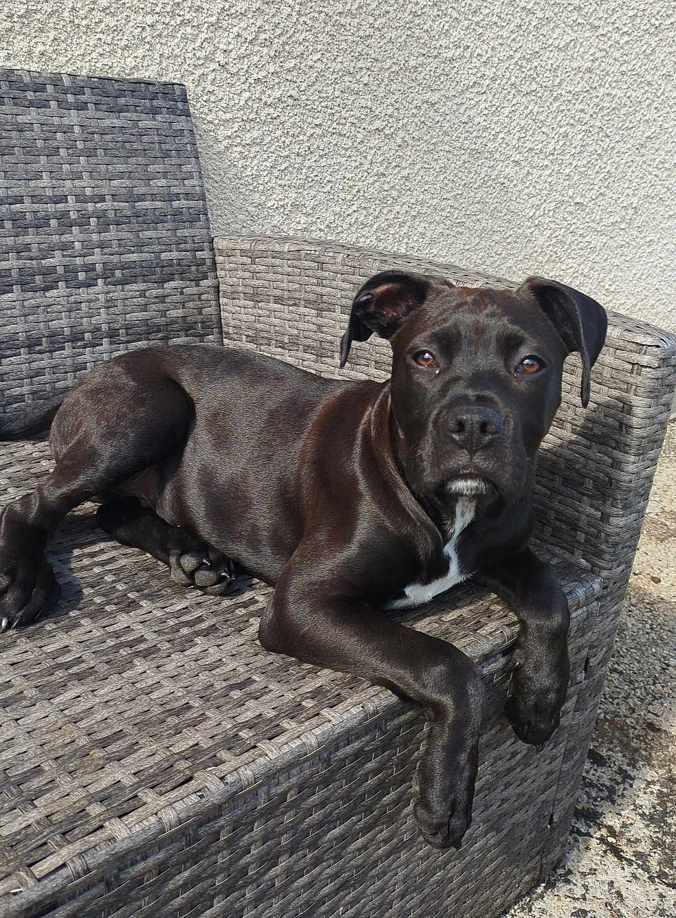 Tyson