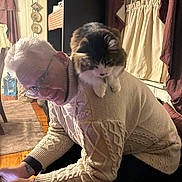 Mr Wiggles is registered to the contest to win money with this photo: animal, cable_knit, cat, cozy, curtains, decorative_plates, elderly_person, focused, furniture, glasses, home, indoor, light, pet, shoulder, sitting, sweater, tattoo, window, wooden_floor