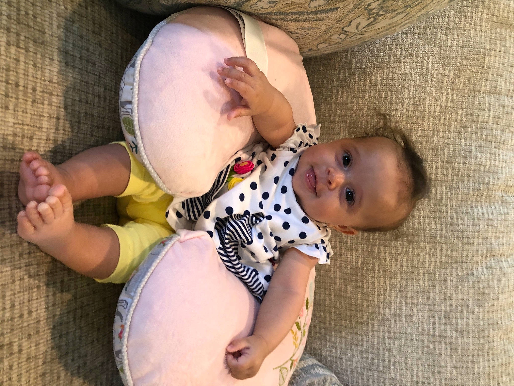 Leia joined the competition — help win amazing prizes! abdomen, baby, baby_toddler_clothing, cheek, chest, child, comfort, foot, grass, happy, human_body, human_leg, joint, leg, mammal, person, skin, thigh, toddler, trunk