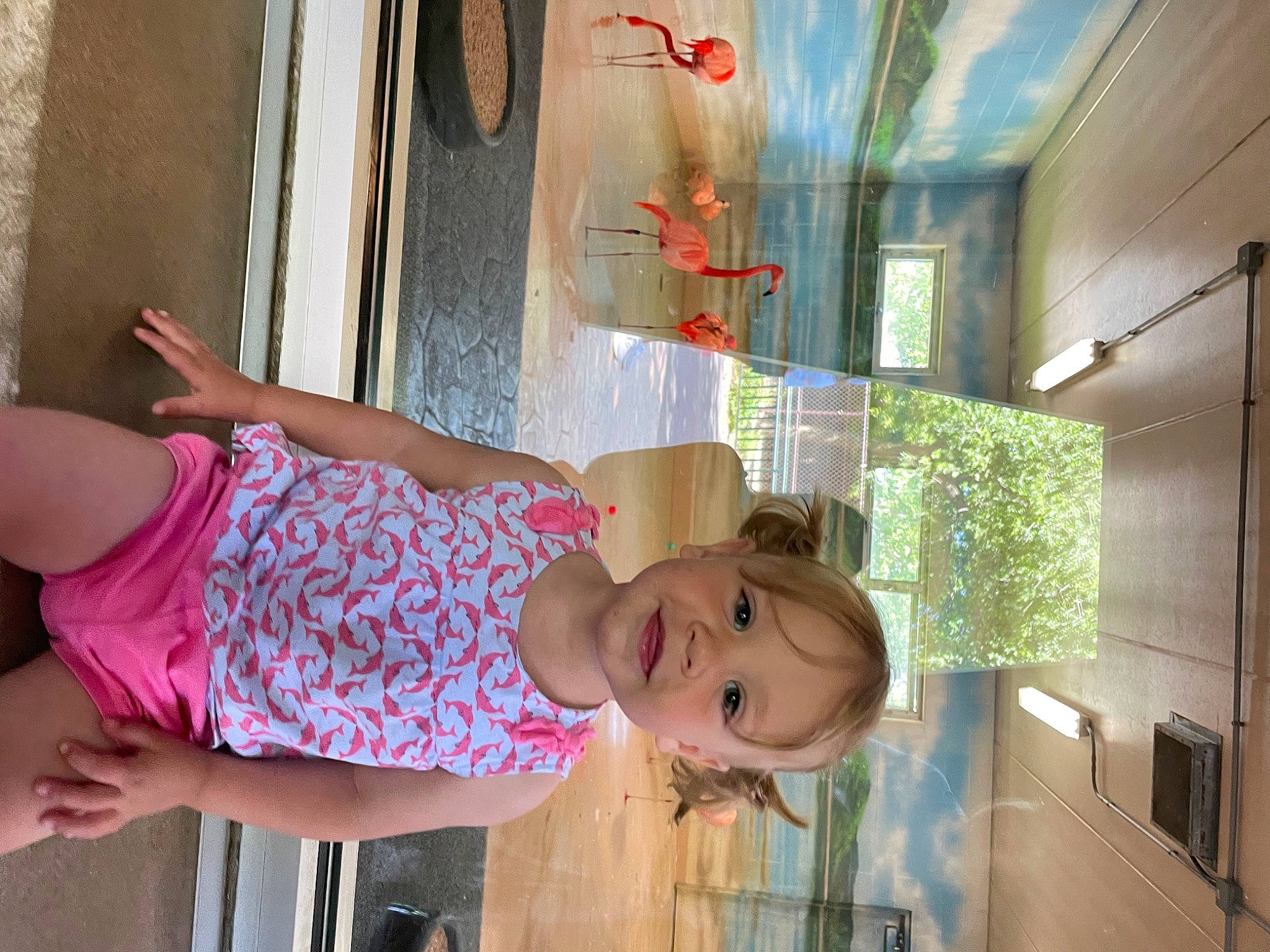 Haylee is registered to the contest to win money with this photo: baby_toddler_clothing, beauty, child, design, fun, glass, happy, human_leg, joy, leisure, line, magenta, pattern, person, room, smile, textile, thigh, toddler, visual_arts