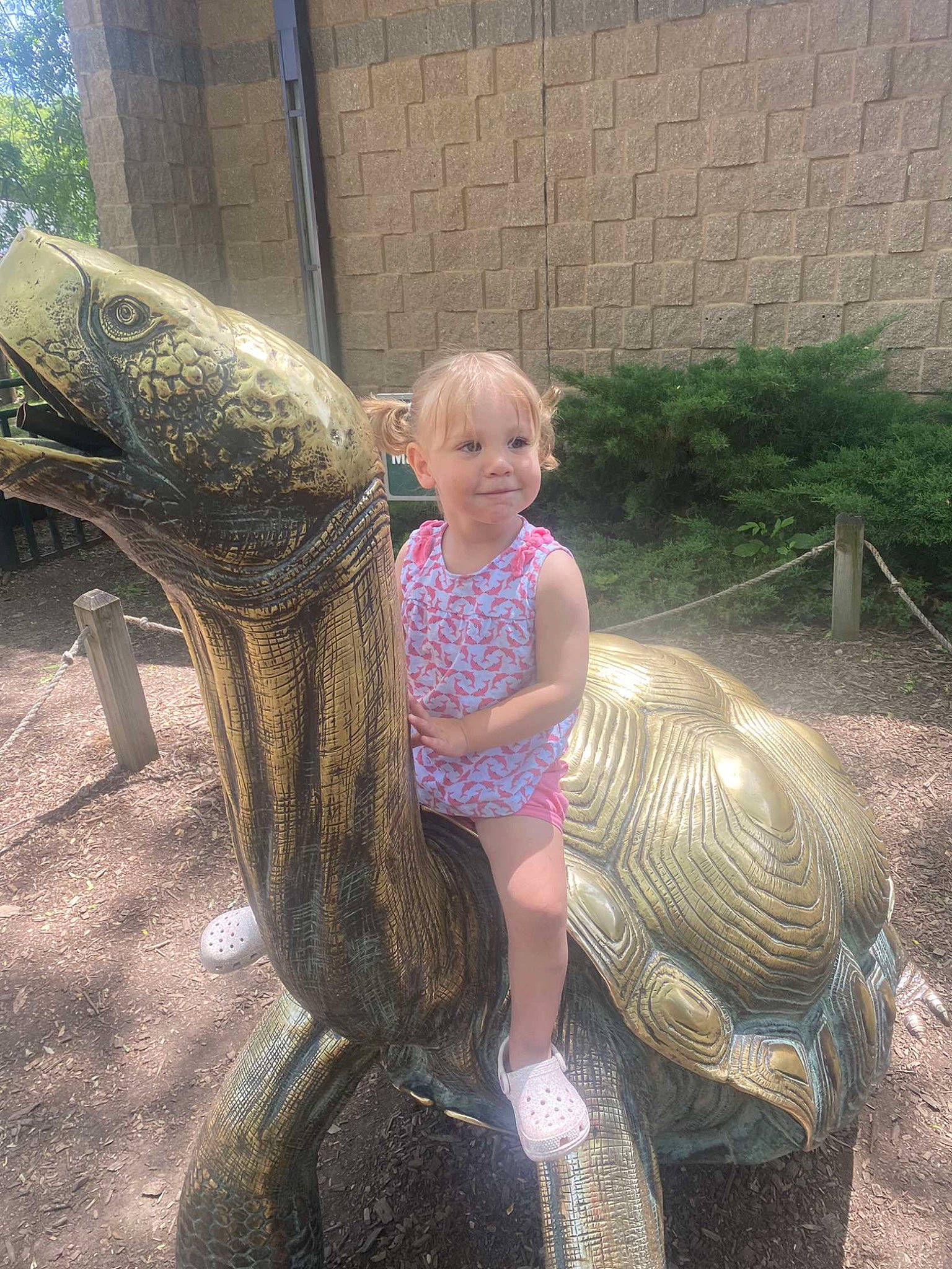 Haylee is registered to the contest to win money with this photo: alligator, automotive_tire, fun, galapagos_tortoise, garden, grass, joy, lawn_ornament, leisure, mammal, person, plant, reptile, scaled_reptile, smile, t_shirt, tail, terrestrial_animal, terrestrial_plant, toddler