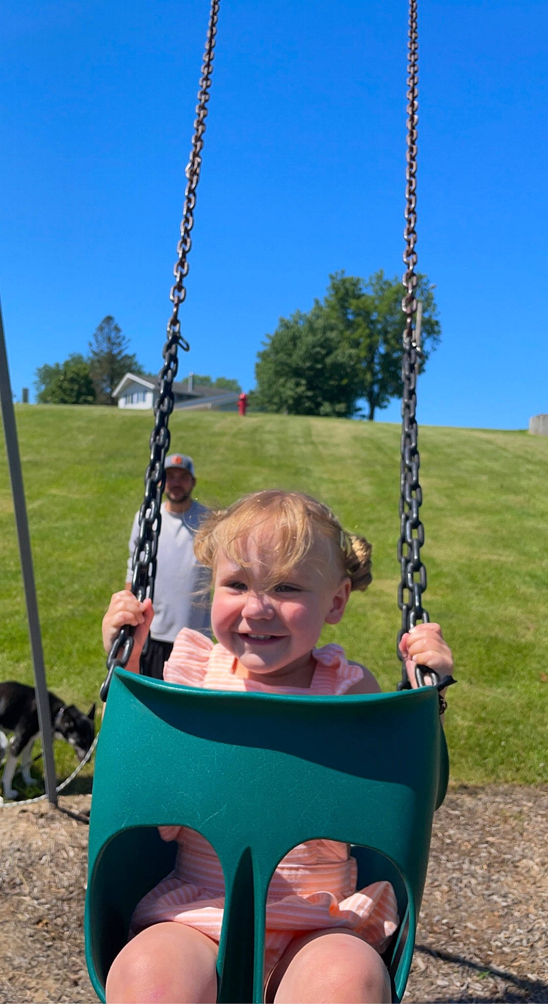 Haylee is registered to the contest to win money with this photo: blue, grass, happy, headwear, joy, leaf, leisure, natural_environment, nature, outdoor_play_equipment, outdoor_recreation, person, photograph, plant, playground, recreation, sky, smile, swing, toddler
