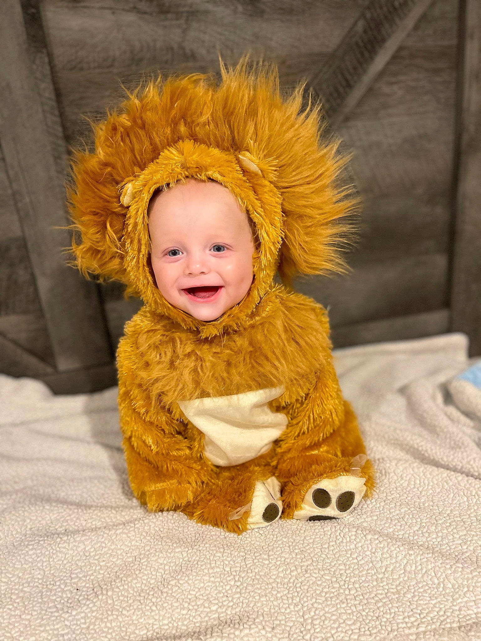 Brantley joined the competition — help win amazing prizes! baby, child, costume, costume_hat, flooring, fun, fur, fur_clothing, happy, headgear, jacket, joy, laugh, linens, person, sitting, smile, toddler, tree, winter