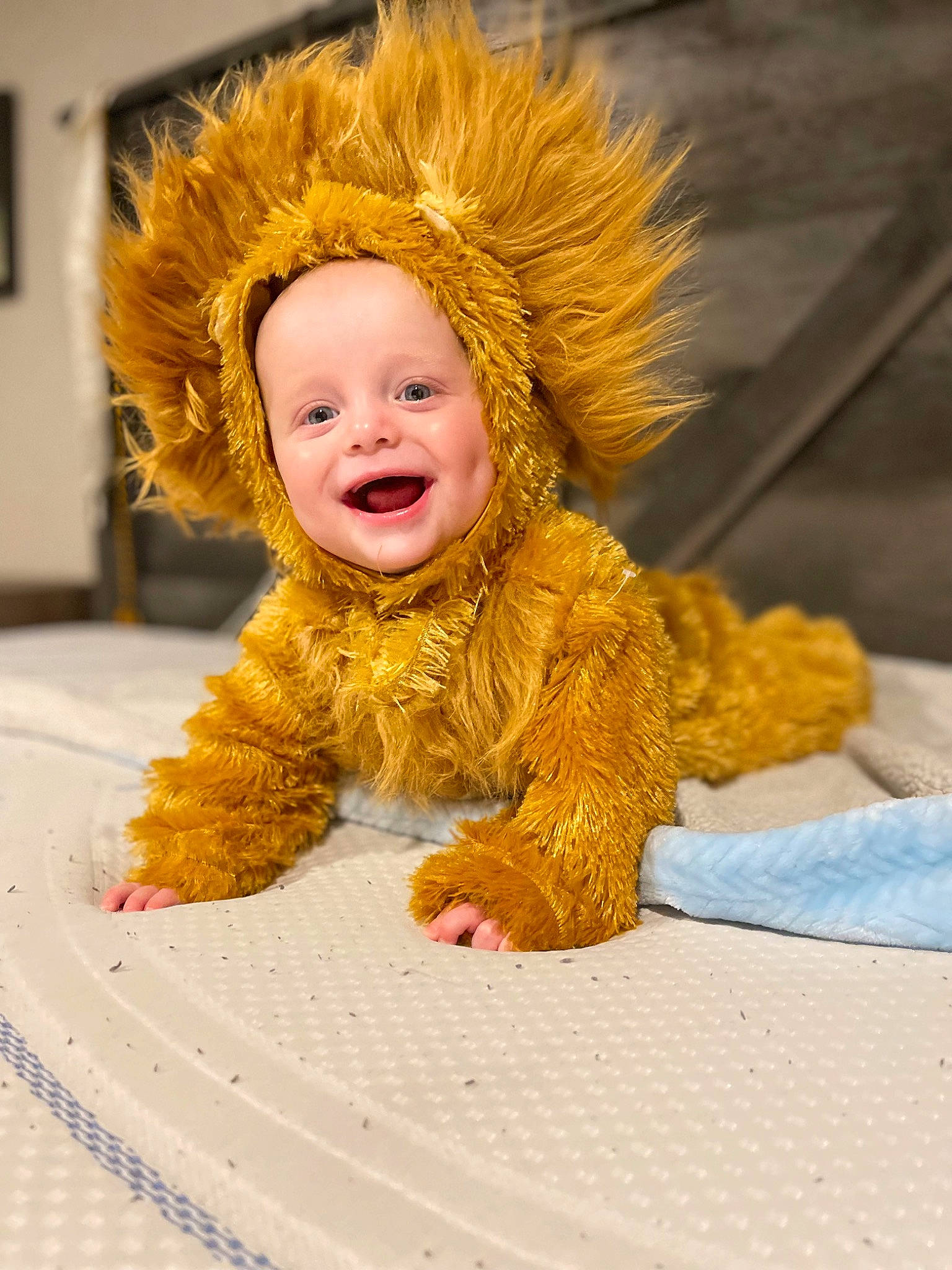 Brantley joined the competition — help win amazing prizes! baby, child, event, eye, flooring, fun, fur, happy, laugh, leisure, person, portrait_photography, sitting, smile, toddler, vacation, winter