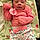 Maquiesha C.