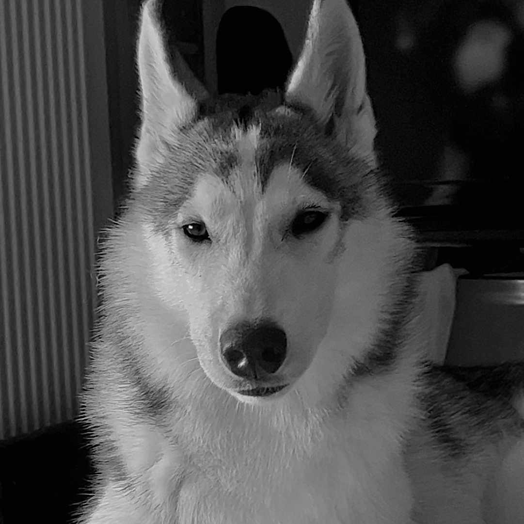 Shiro