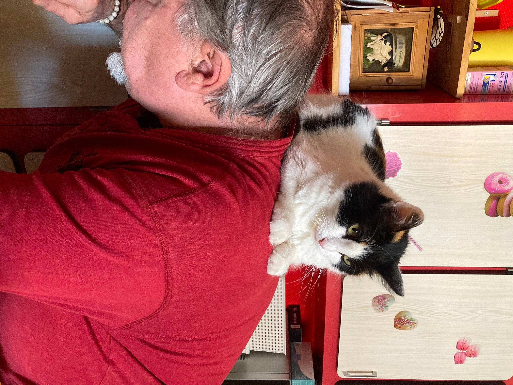 Framboise participe au concours pour gagner de l'argent avec cette photo : beard, canidae, carnivore, cat, companion_dog, dog_breed, domestic_short_haired_cat, ear, eyewear, felidae, fur, picture_frame, small_to_medium_sized_cats, sporting_group, t_shirt, whiskers