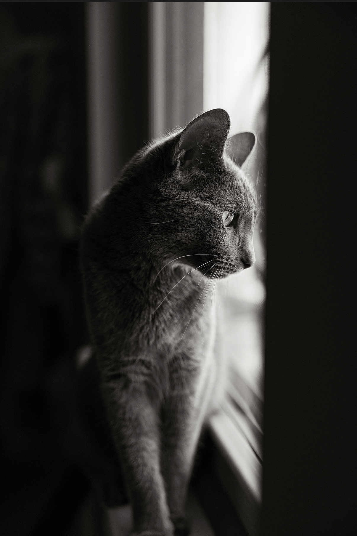Harvey