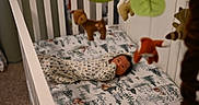 Aemond joined the competition — help win amazing prizes! animal_toys, baby, bedroom, carpet, child, cozy, crib, decor, forest_pattern, gazing, indoor, infant, nursery, peaceful, plush_toy, sleeping_baby, soft_toys, swaddle, white_crib, woodland