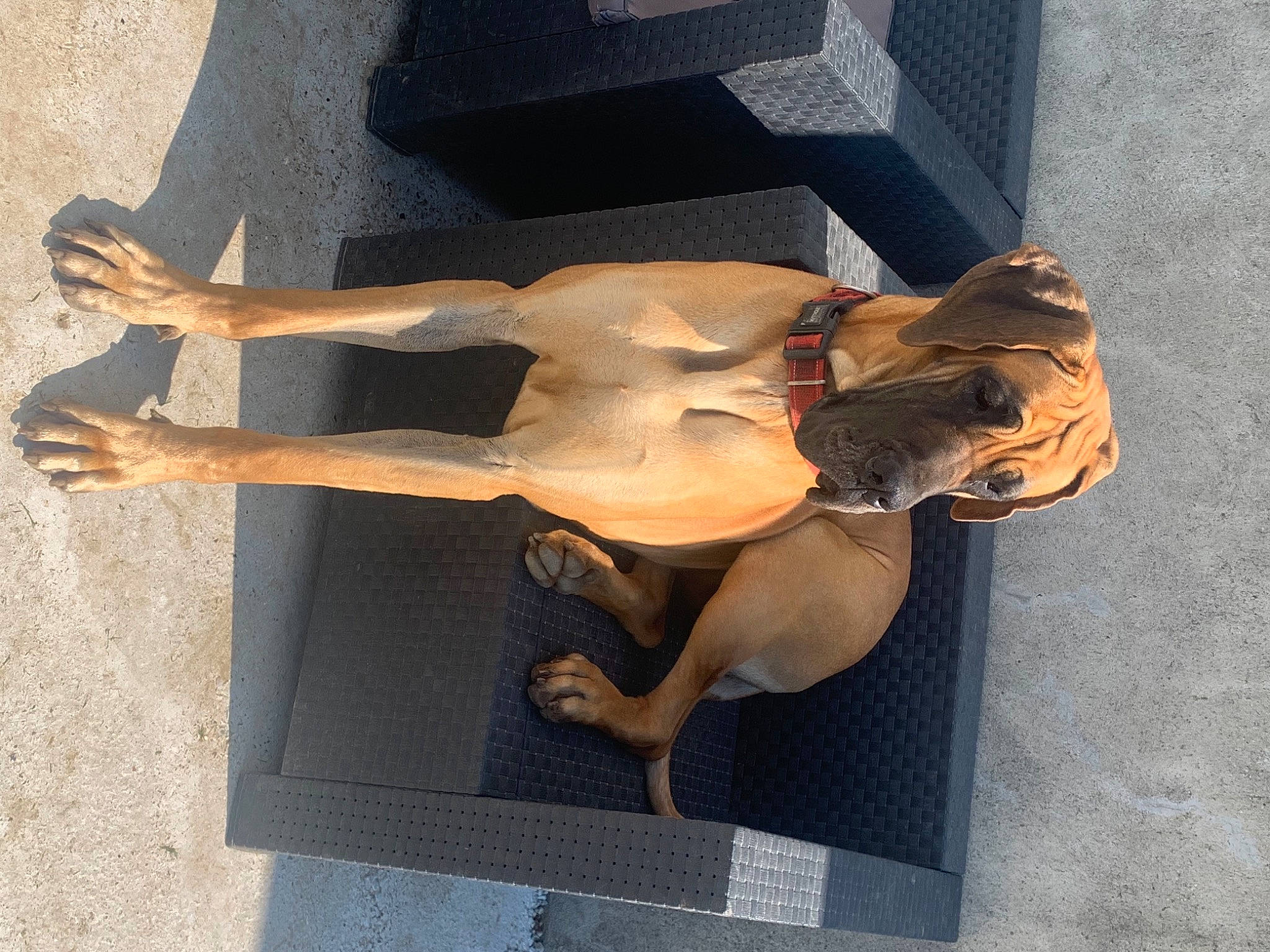 Pretty a rejoint le concours — aidez-le/la à gagner de superbes lots ! abdomen, art, artifact, barechested, chest, classical_sculpture, dress, elbow, hand, human_body, human_leg, leg, mannequin, sculpture, statue, thigh, trunk, visual_arts, waist, wood