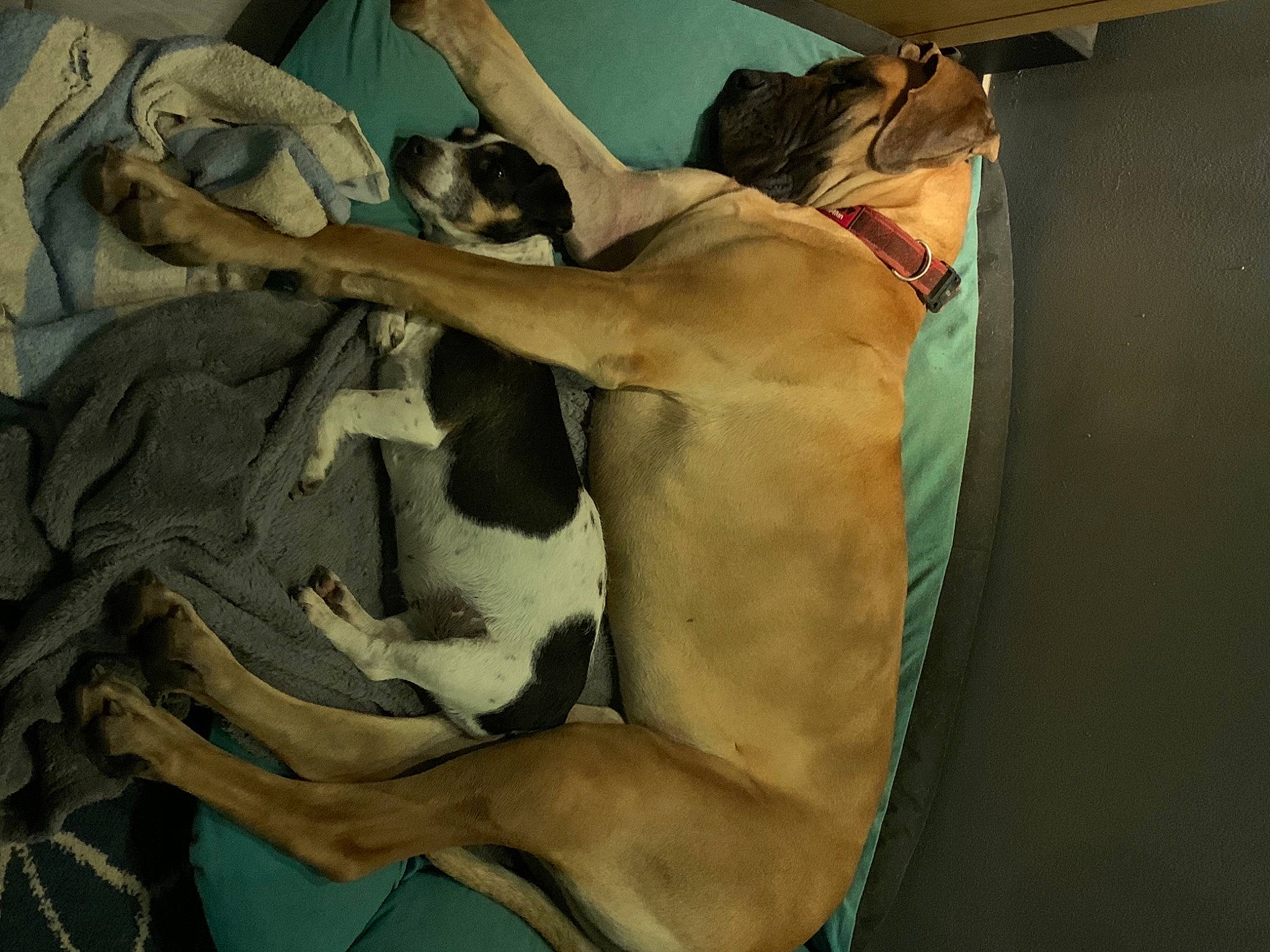 Diksy participe au concours pour gagner de l'argent avec cette photo : abdomen, art, artifact, chest, comfort, elbow, figure_drawing, human_leg, jaw, mural, mythology, paint, painting, tattoo, thigh, trunk, visual_arts, watercolor_paint, wood, wrist