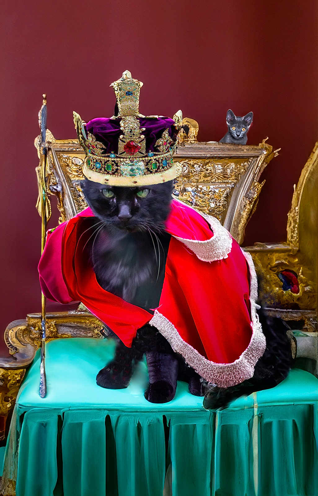 Pitou a rejoint le concours — aidez-le/la à gagner de superbes lots ! animal, black_cat, cape, cat, crown, curious, decor, feline, gold, indoor, luxury, ornate, pet, red_cape, regal, royalty, scepter, seated, small_cat, throne