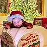 baby, santa_hat, christmas_tree, christmas_lights, holiday, book, reading, blanket, indoors, festive, gift_bags, decorations, child, holiday_spirit, cozy, winter, smiling, red_clothing, celebration, family