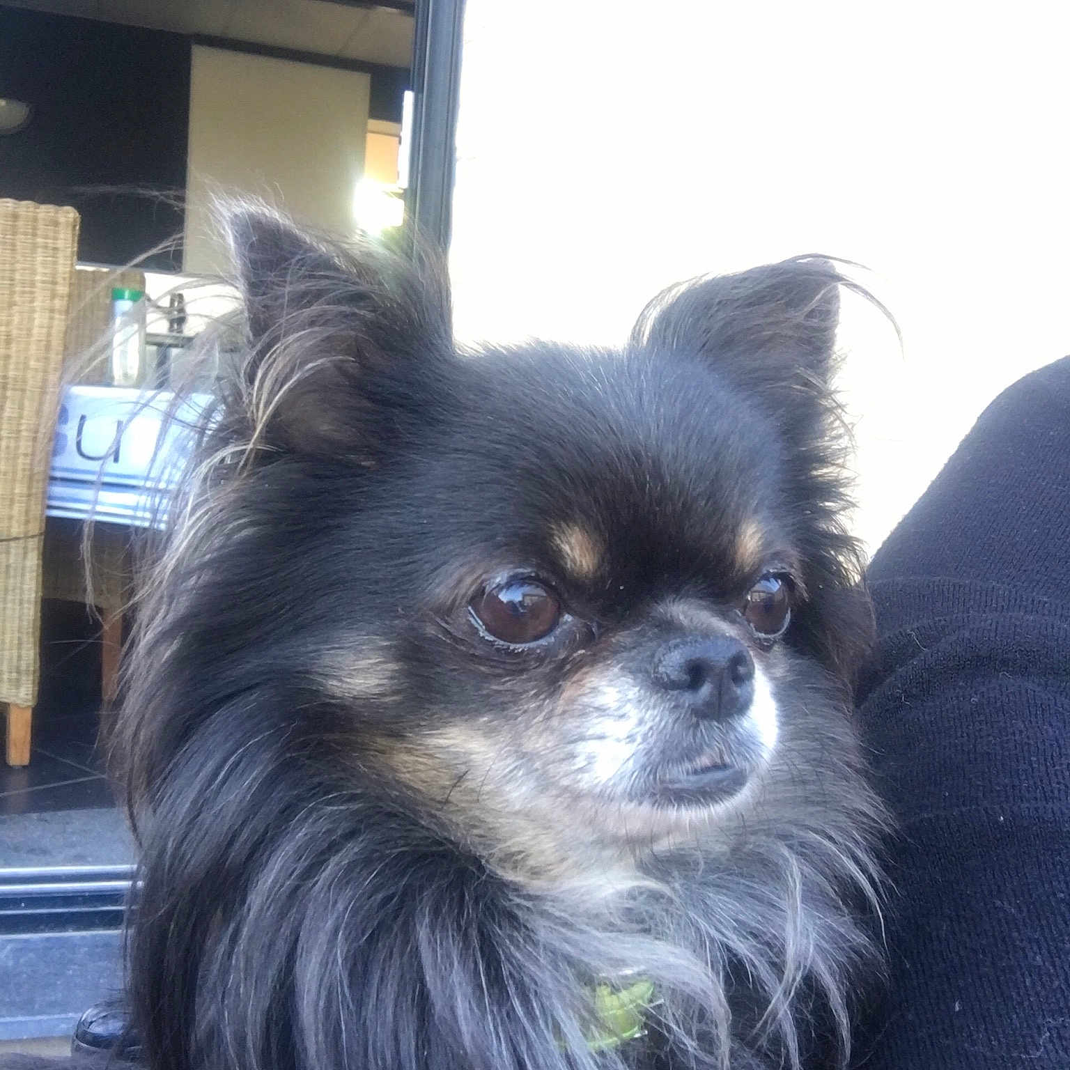Pilou