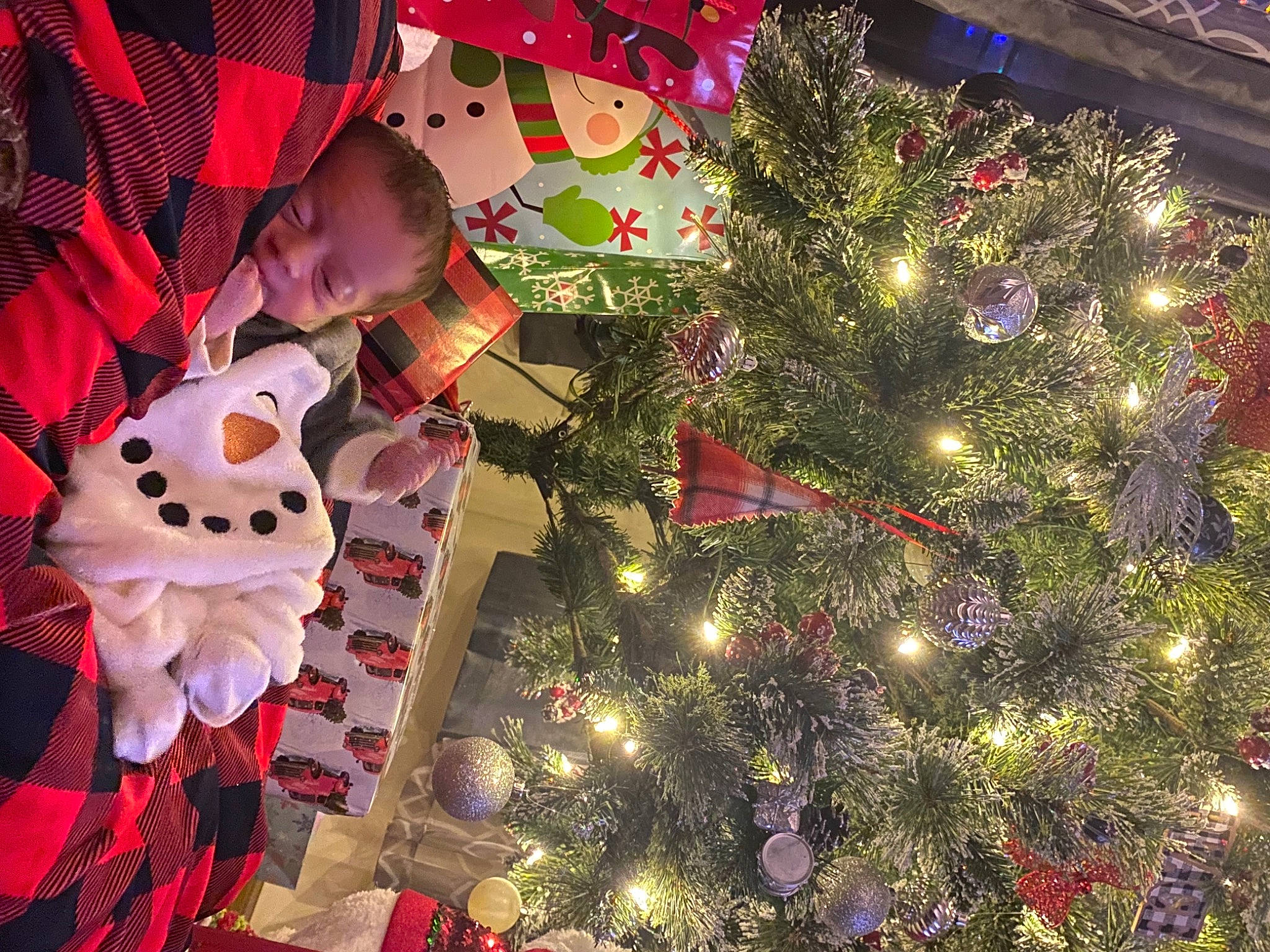 Legend is registered to the contest to win money with this photo: branch, christmas, christmas_decoration, christmas_eve, christmas_ornament, christmas_tree, event, evergreen, happy, holiday, holiday_ornament, light, ornament, person, plant, red, tints_and_shades, tradition, tree, winter