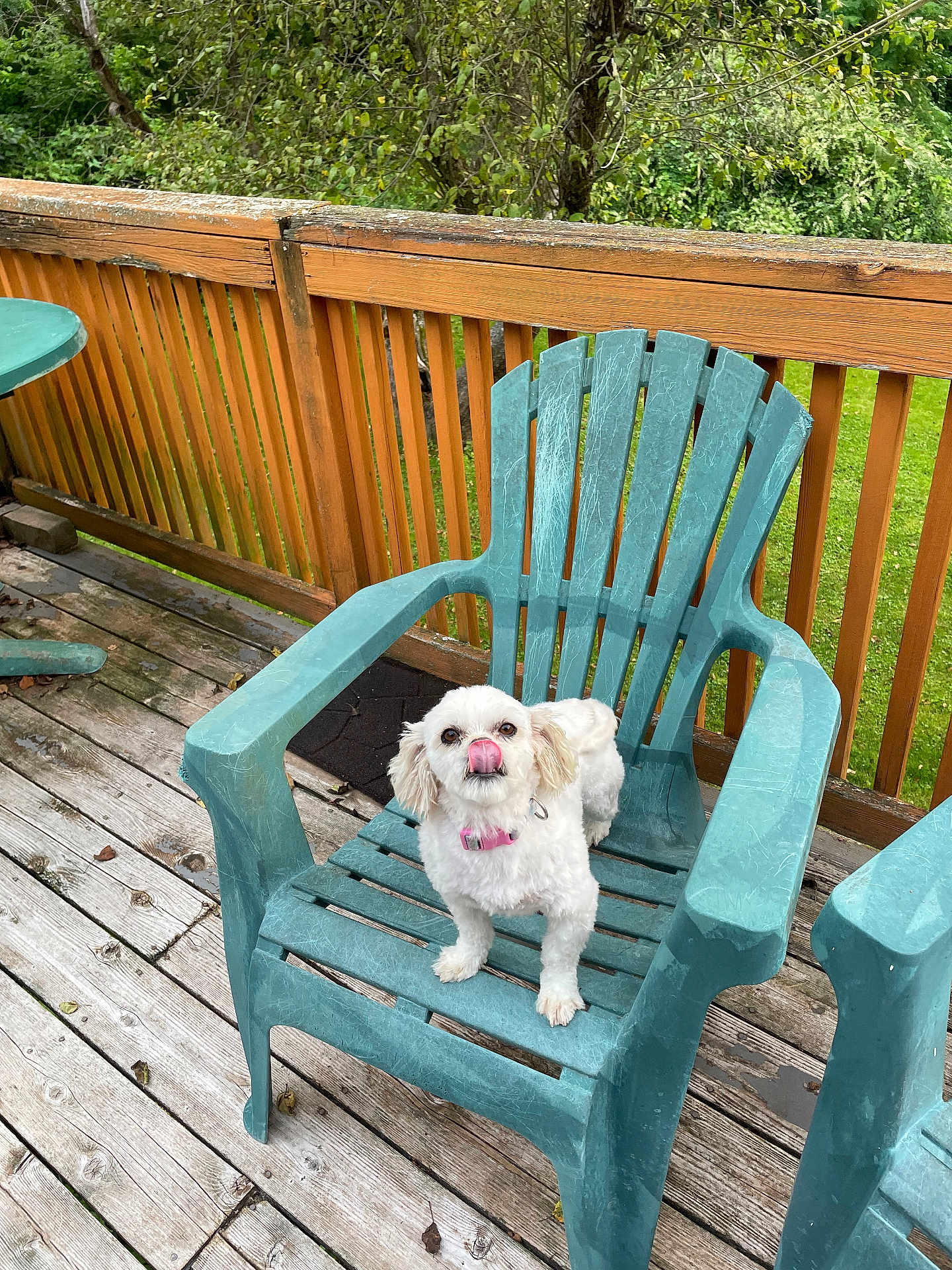 Minnie