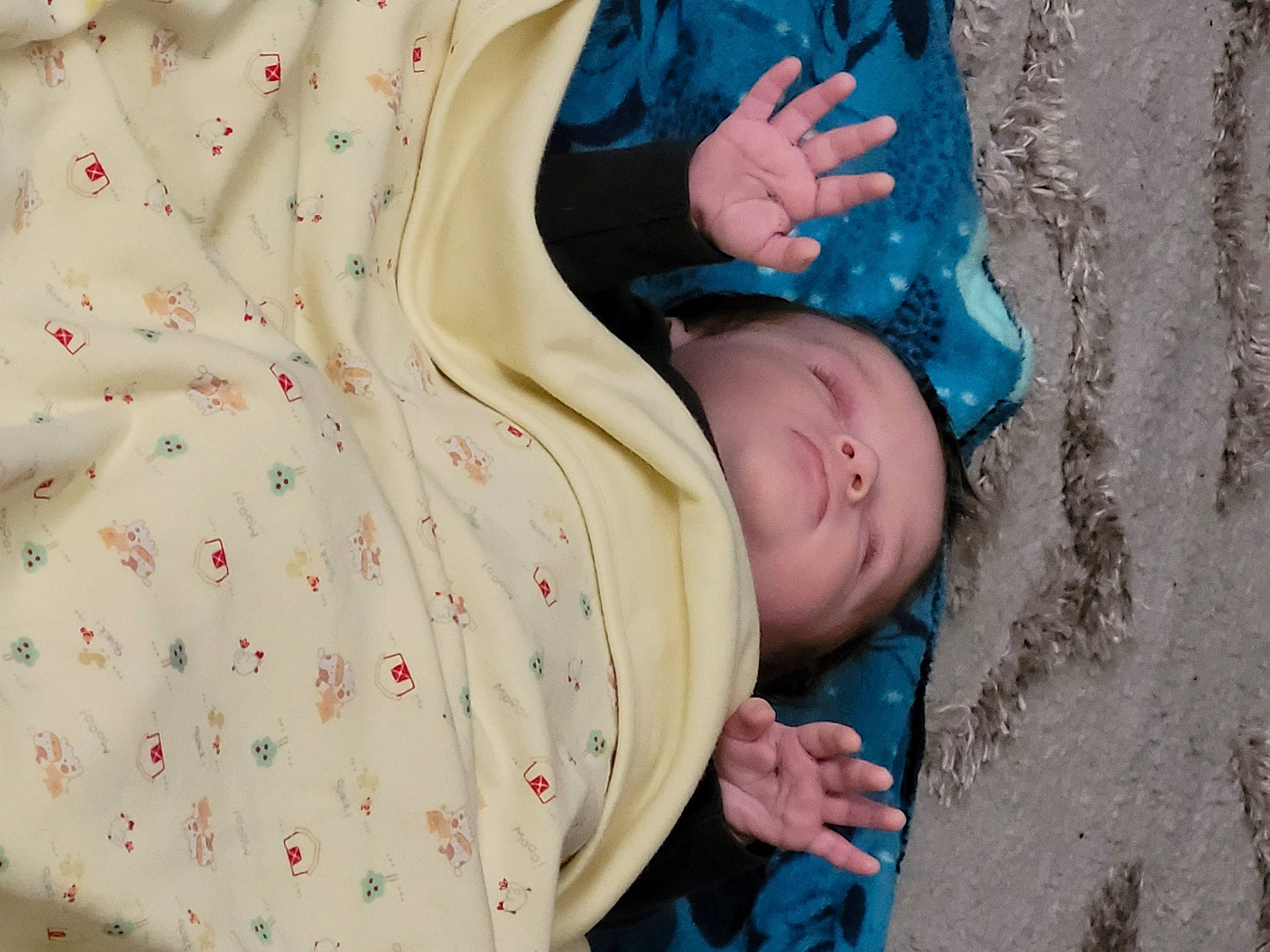 Karson joined the competition — help win amazing prizes! baby, baby_products, baby_sleeping, baby_toddler_clothing, child, comfort, grass, hand, head, linens, pattern, person, product, sitting, skin, sleep, sleeve, textile, toddler, tree