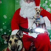 Hope is registered to the contest to win money with this photo: