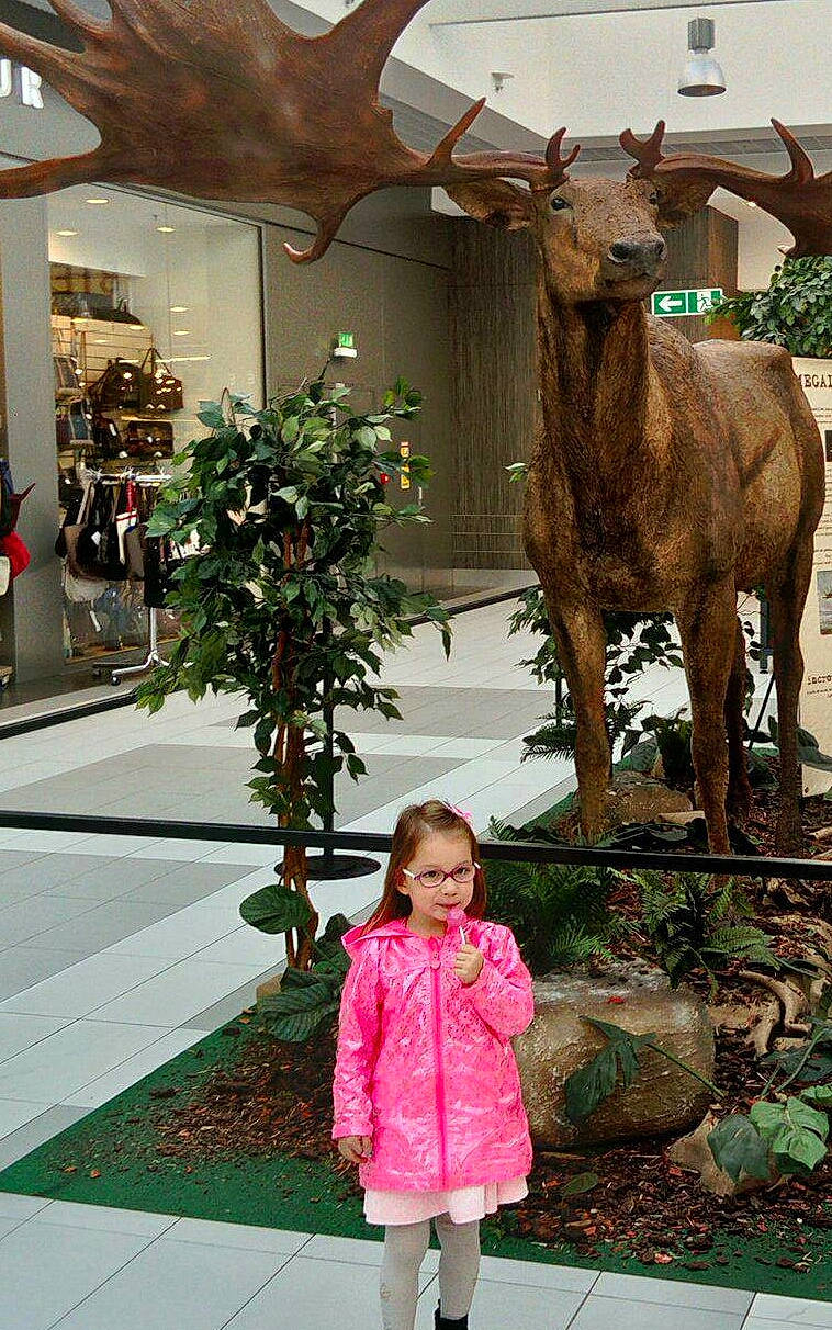 Léa participe au concours pour gagner de l'argent avec cette photo : deer, flower, person, plant, reindeer, tree