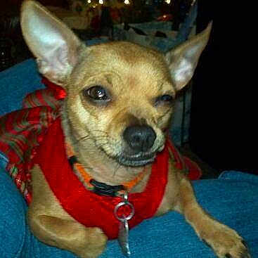 Roho joined the competition — help win amazing prizes!