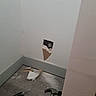 cat, hole, wall, drywall, debris, hammer, screwdriver, floor, corner, curious, indoor, repair, construction, tool, white_wall, pet, animal, peeking, mess, home