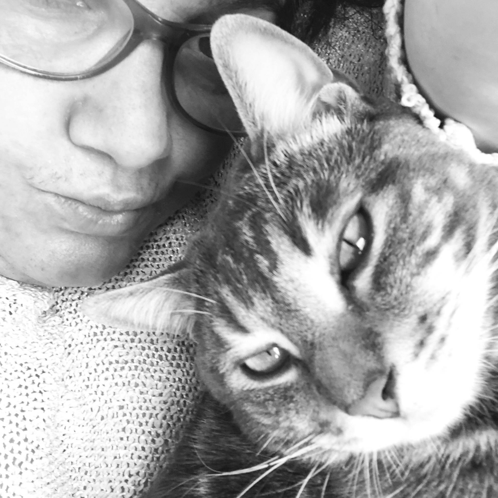 Mimi participe au concours pour gagner de l'argent avec cette photo : beard, black_and_white, carnivore, cat, comfort, cool, eyewear, felidae, gesture, glasses, happy, iris, jaw, nose, organ, small_to_medium_sized_cats, style, vision_care, whiskers, white