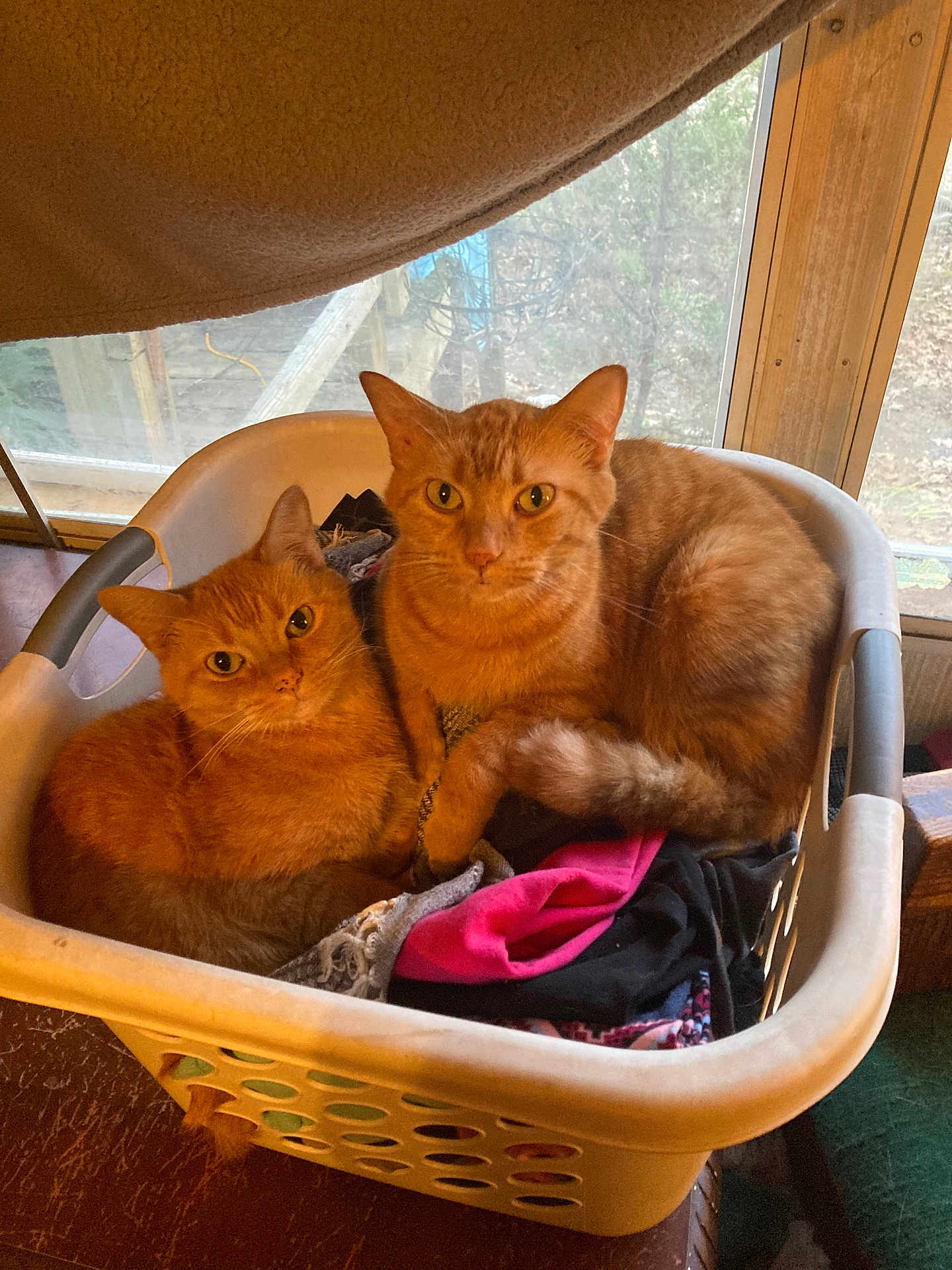 Tiki And Riki