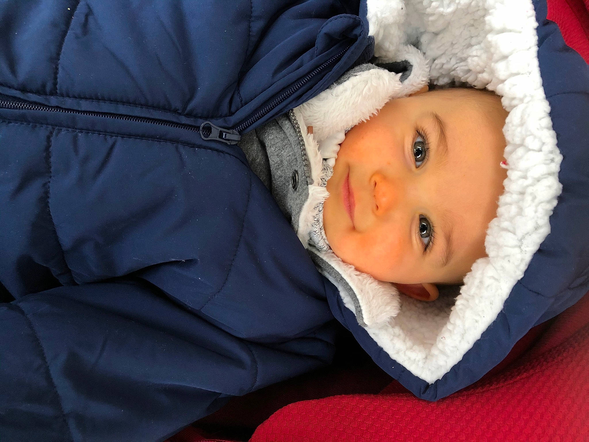 Gwendoline a rejoint le concours — aidez-le/la à gagner de superbes lots ! baby, baby_toddler_clothing, cheek, child, comfort, electric_blue, eye, fur, happy, head, headwear, jacket, lip, nose, outerwear, person, skin, sleeve, smile, toddler