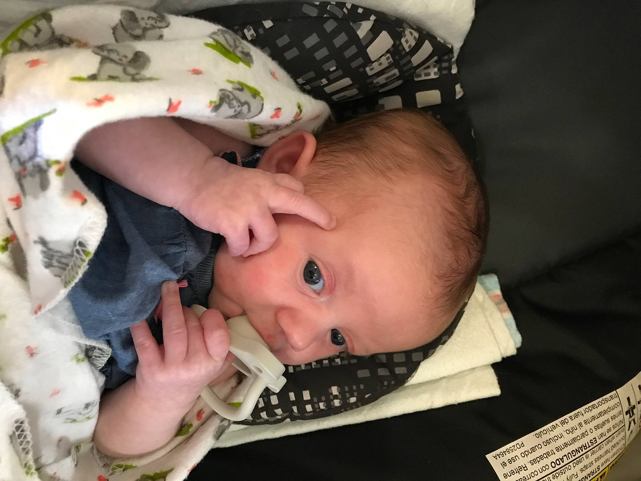 Reagan joined the competition — help win amazing prizes! baby, baby_carriage, baby_products, baby_toddler_clothing, cheek, child, comfort, eye, eyelash, facial_expression, happy, head, iris, lip, pattern, person, sitting, skin, sleeve, toddler